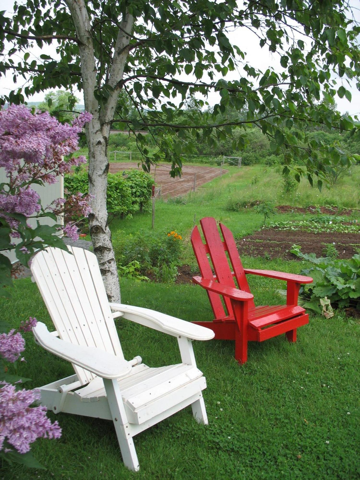 The Nelson House Bed And Breakfast Stewiacke Dış mekan fotoğraf