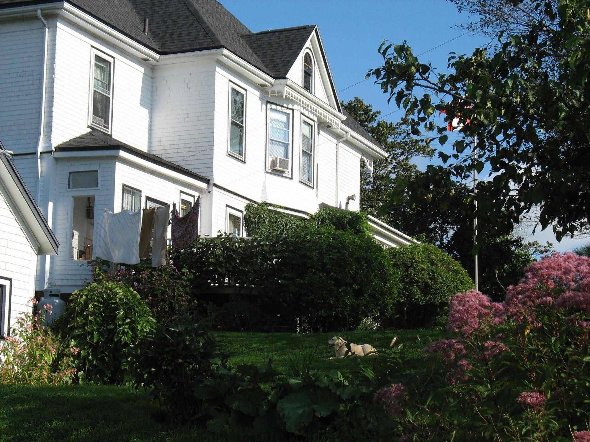 The Nelson House Bed And Breakfast Stewiacke Dış mekan fotoğraf